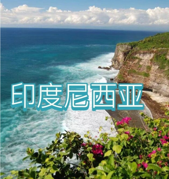 国际电商(印尼)产业博览会AG真人旗舰厅2025中国(图2)